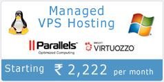 Linux Windows VPS Hosting India