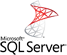 Dedicated database hosting server